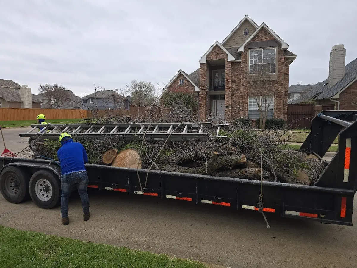 Expert Tree Fertilization with proper safety equipment in Maud